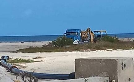 Denuncian saqueo de arena que perjudica desove de tortuga de carey en Yucatán