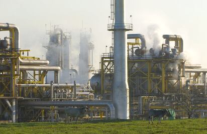 Petróleo y dólar, riesgos para economía del país