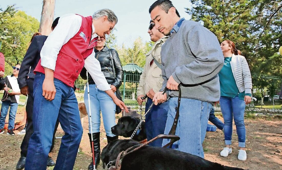 Ante personas con debilidad visual, el abanderado del PRI, Alfredo del Mazo, se comprometió a mejorar la accesibilidad al transporte y apertura total de espacios públicos a los perros guía que les sirven de apoyo (CORTESÍA PRI)