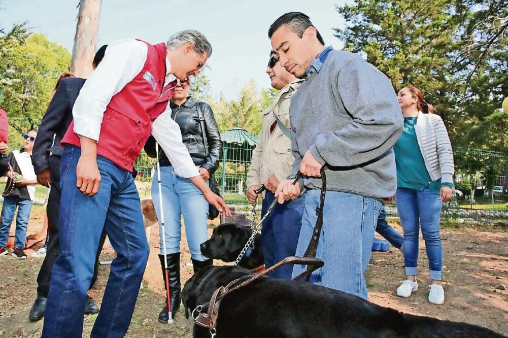 Ante personas con debilidad visual, el abanderado del PRI, Alfredo del Mazo, se comprometió a mejorar la accesibilidad al transporte y apertura total de espacios públicos a los perros guía que les sirven de apoyo (CORTESÍA PRI)
