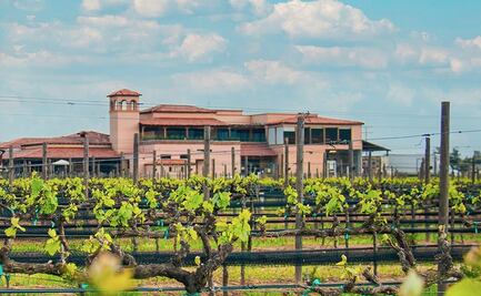 ¿Cuál es el menú de Latitud 32, un restaurante en Valle de Guadalupe?