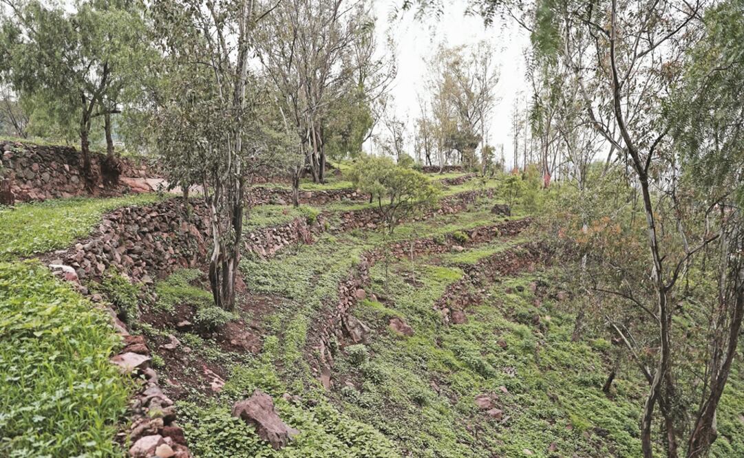 Desde el cerro Cuahuilama, hace más de 550 años, los mexicas podían vigilar cualquier movimiento que amenazara su poderío en sus territorios conquistados, en la extensión del lago o en las mismas chinampas donde los xochimilcas hacían florecer los productos que enviaban en canoas hasta Tenochtitlan.