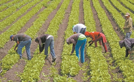 Sader publica reglas de operación para entrega de apoyos a campesinos