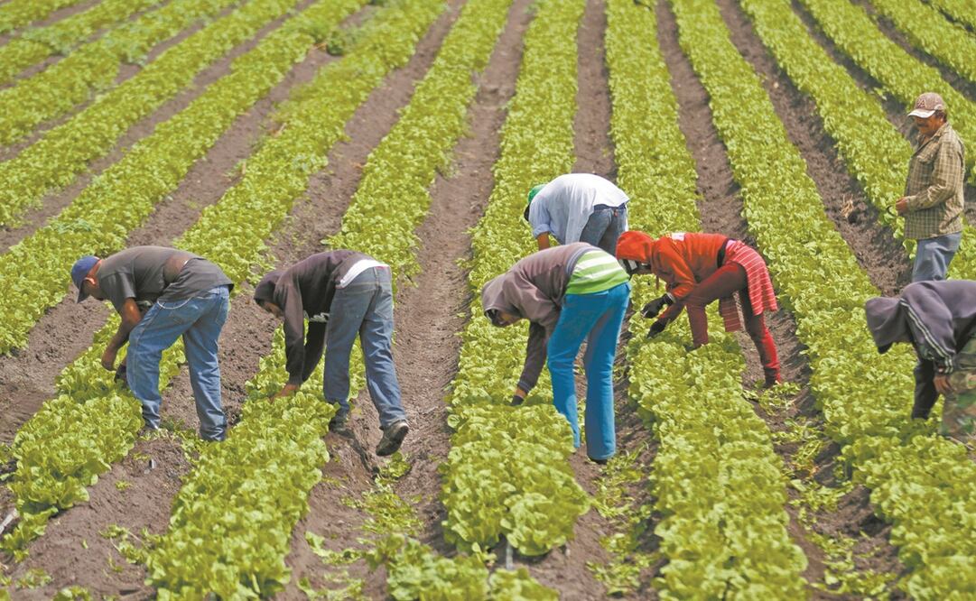 Foto: Archivo. EL UNIVERSAL