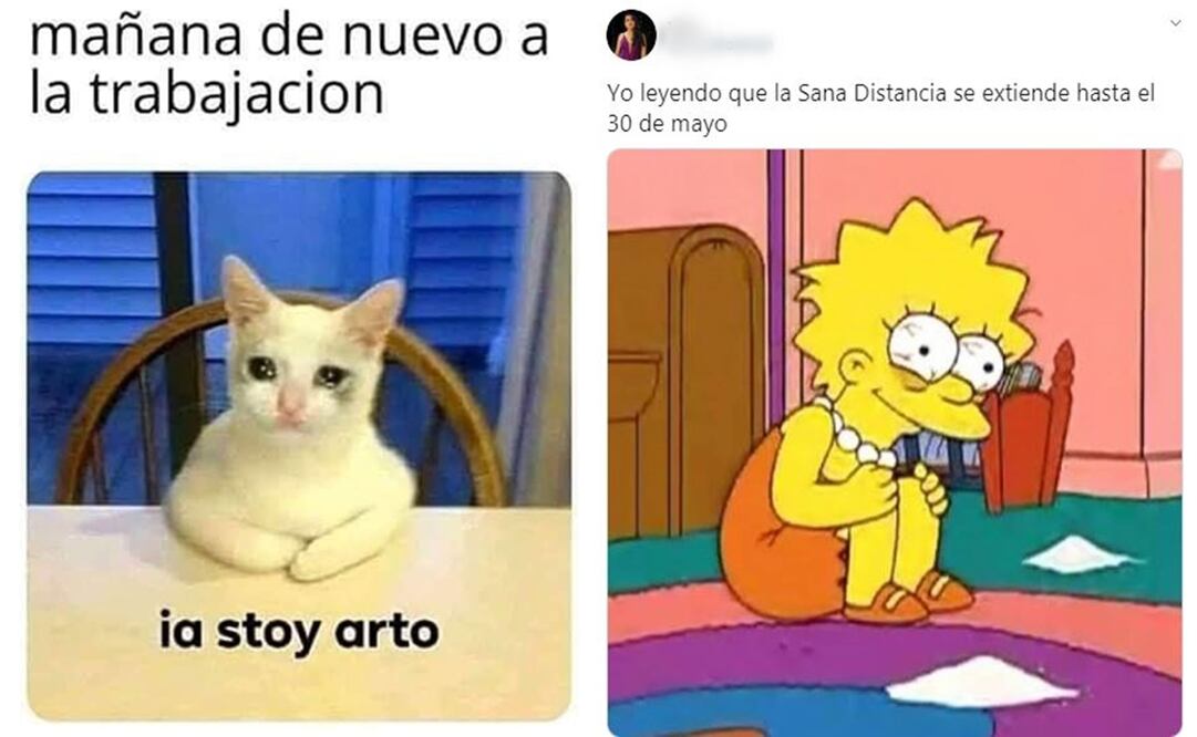 Extienden la cuarentena y los memes toman las redes sociales