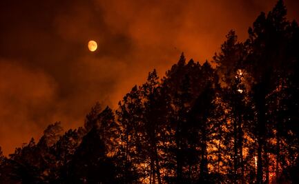 Los efectos a largo plazo del calentamiento global son "imprevisibles"