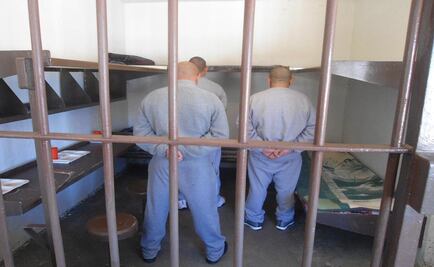 Sentencian a cinco en Jalisco por delitos contra la salud