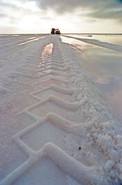 Enfrentan gobierno y Mitsubishi juicio a causa de ex directivo