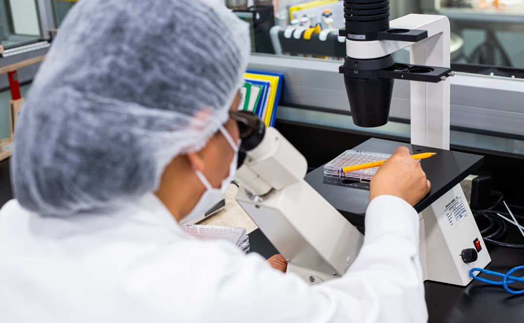 Foto: Cortesía Avimex