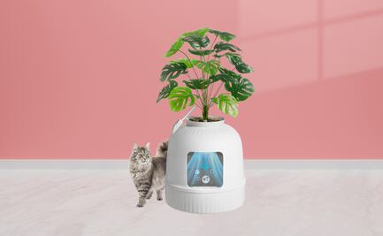 ¡Atención Karen! Este arenero disfrazado de planta evita el mal olor y decora tu sala