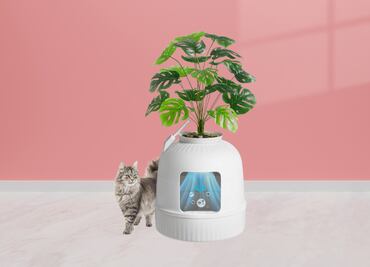 ¡Atención Karen! Este arenero disfrazado de planta evita el mal olor y decora tu sala