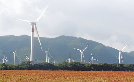 Piden a México tomar en serio las energías renovables, no las fósiles