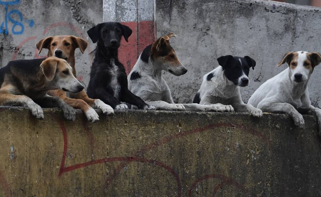 Imagen ilustrativa / Archivo