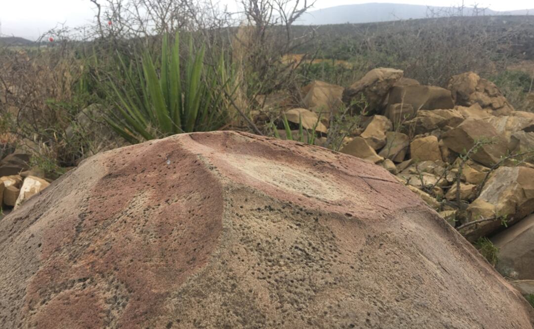 Foto: Facebook / Mercedes Aqui