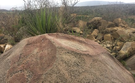 Artista que orinó sobre arte rupestre de Coahuila defiende su performance