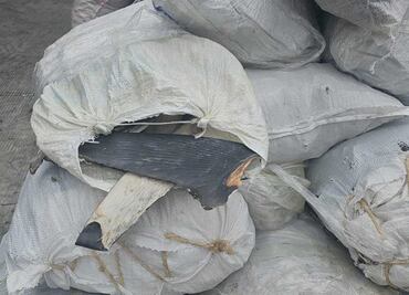 Profepa interpone denuncia penal por intento de tráfico de aletas de tiburón a China; acusan delito contra la biodiversidad