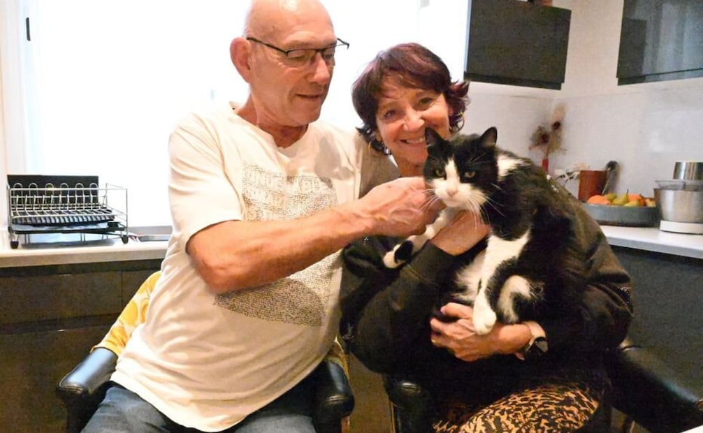 El pequeño felino regresó a su hogar al sur de Francia, tras perderse durante un viaje por carretera en España. Foto: Redes Sociales