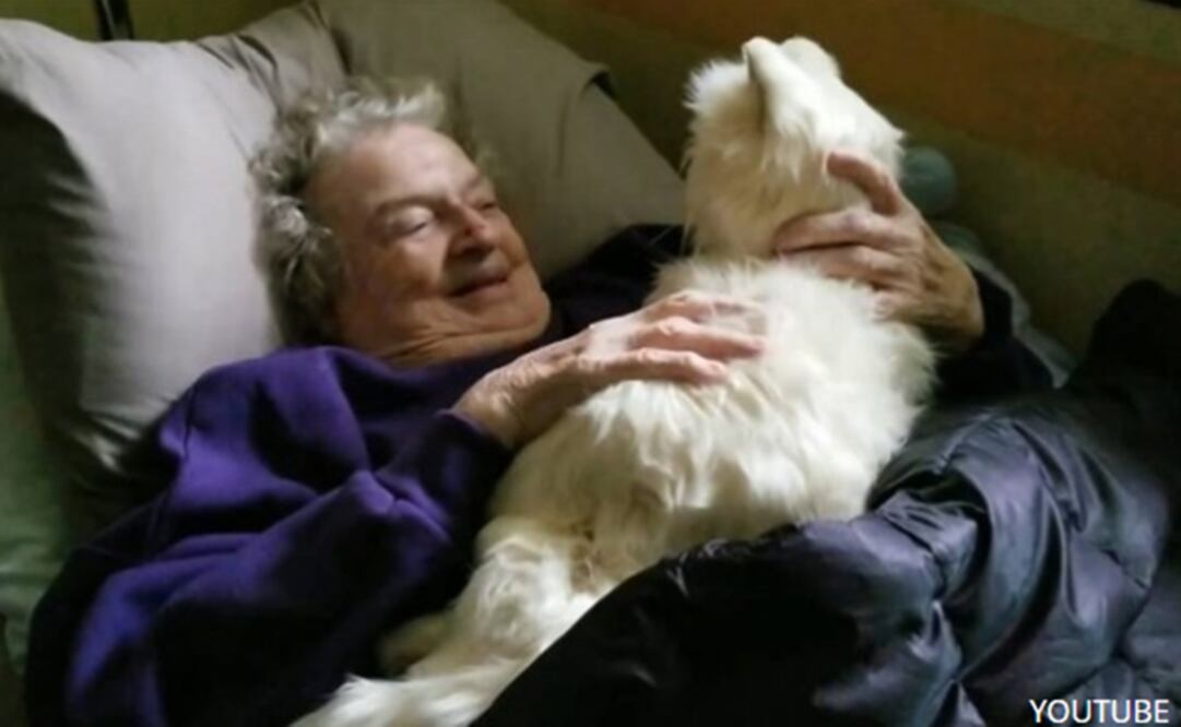 FOTO: Tomada de Youtube