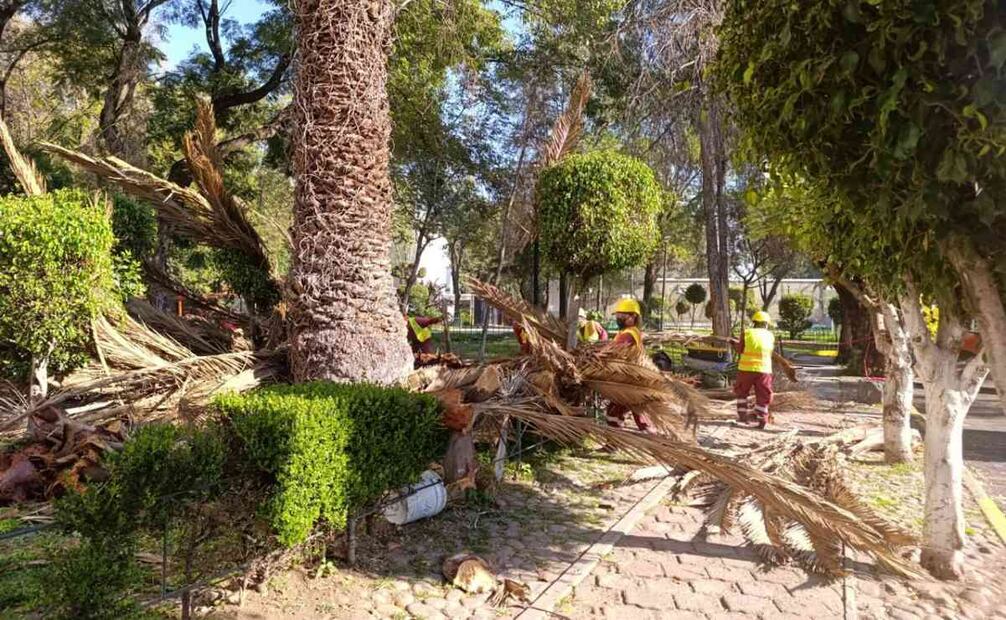 El equipo técnico de Sedema llevará a cabo los trabajos de forma programada y segura
Foto: Especial.