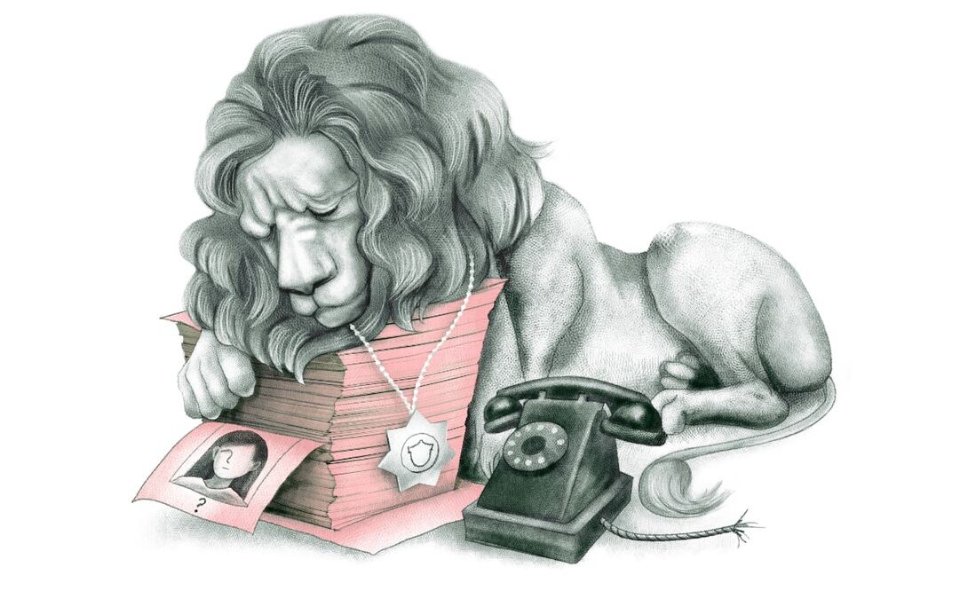 Ilustración: Ani Cortés