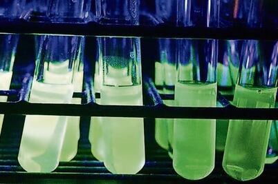 Desarrollan quimiosensores moleculares