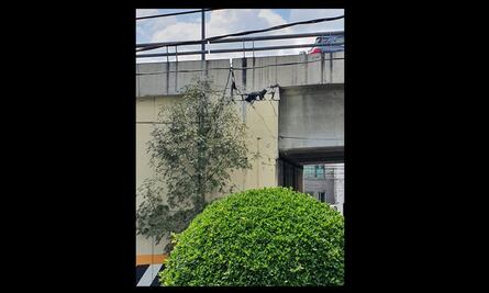 Vecinos de Naucalpan reportan puente agrietado; Protección Civil descarta riesgo de desplome