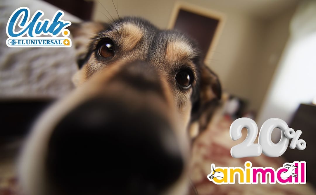 Club EL UNIVERSAL te da un 20% de descuento en AniMall, marca mexicana dedicada al bienestar integral de las mascotas.  |  Imagen: especial.