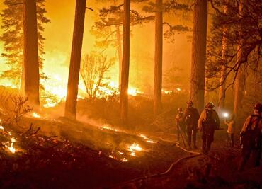 Incendio forestal en California destruye 7 mil hectáreas