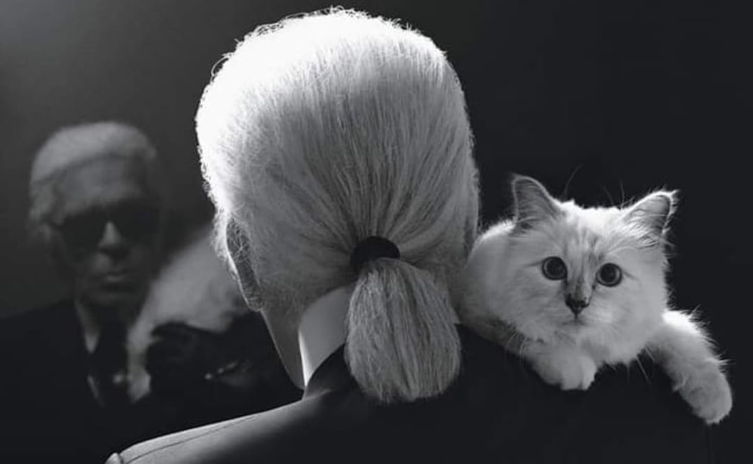 No es Choupette, sino su amante, el heredero principal de Karl Lagerfeld. Fotos: Instagram