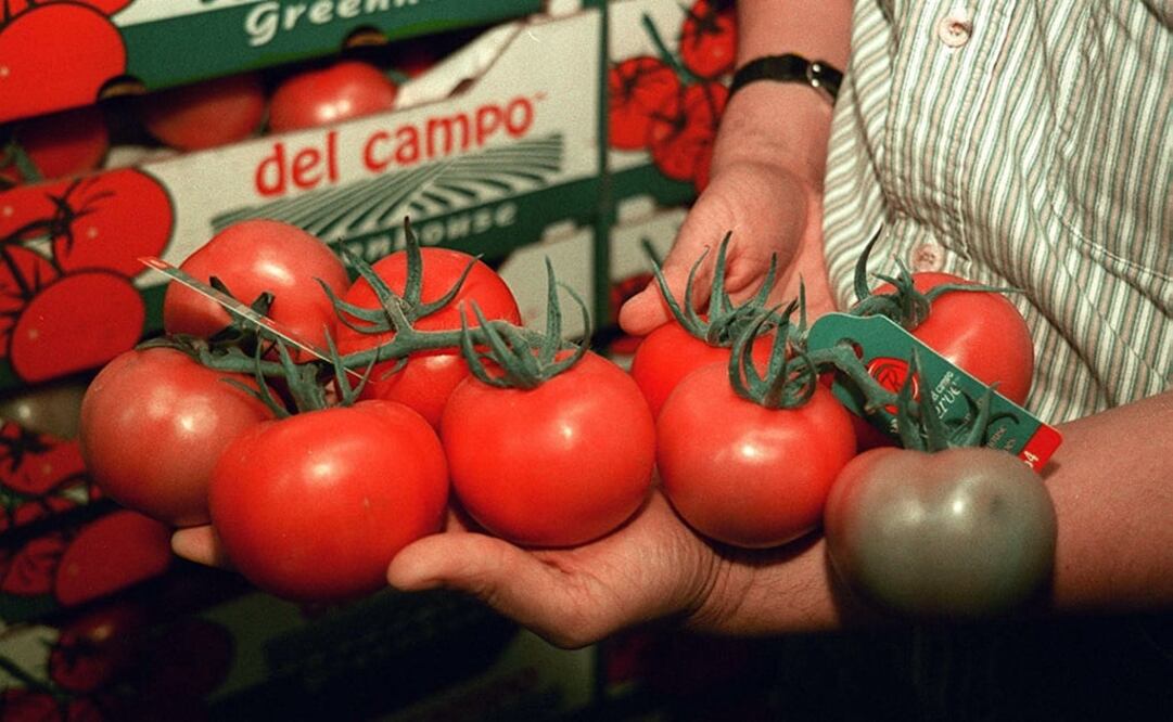 El funcionario federal aseguró que no que no es fácil sustituir las exportaciones alimentarias que hace el país a la Unión Americana. /Archivo - EL UNIVERSAL