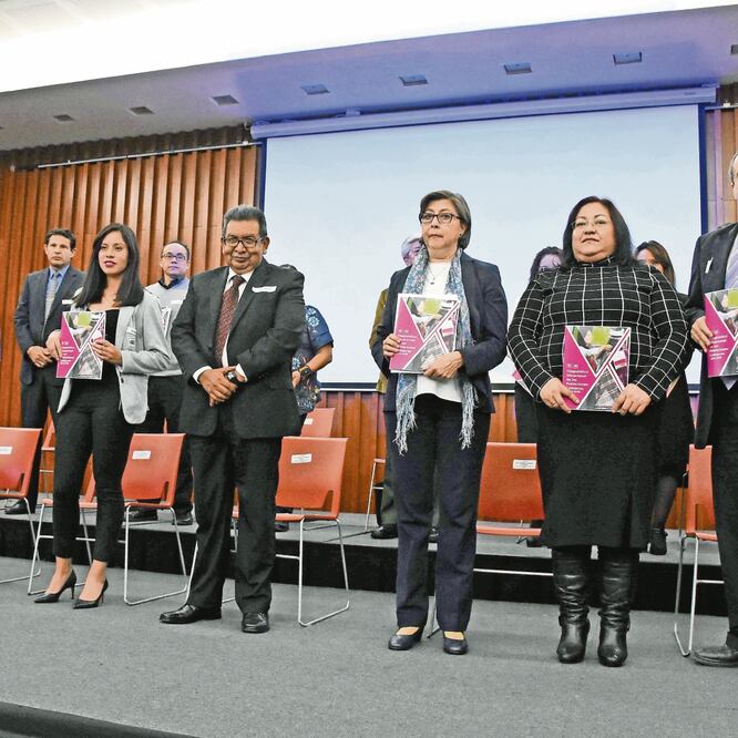 Apoyo. El titular del IASIS, Jorge Luis Pérez Santos, informó que Cuauhtémoc, GAM y V. Carranza son las que tienen más gente de este sector. Foto: ESPECIAL