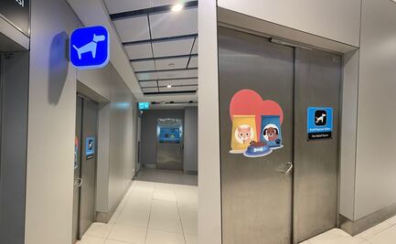 FOTOS: Conoce el baño de perritos del aeropuerto de Estambul