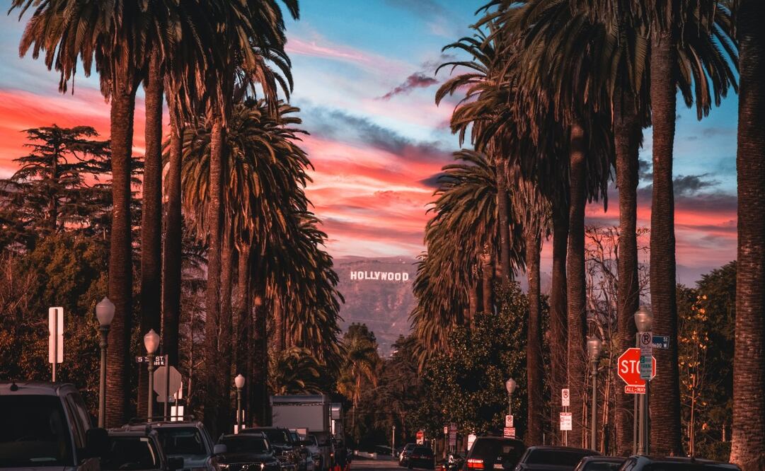 Foto: Unsplash/ Jake Blucker