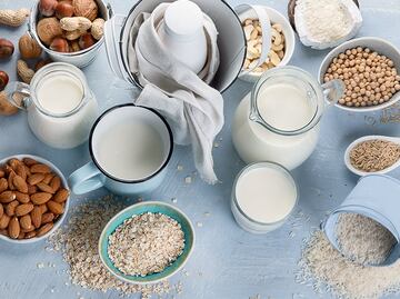 ¿Buscas una opción deliciosa y saludable que sustituya a la leche? Aquí te damos una