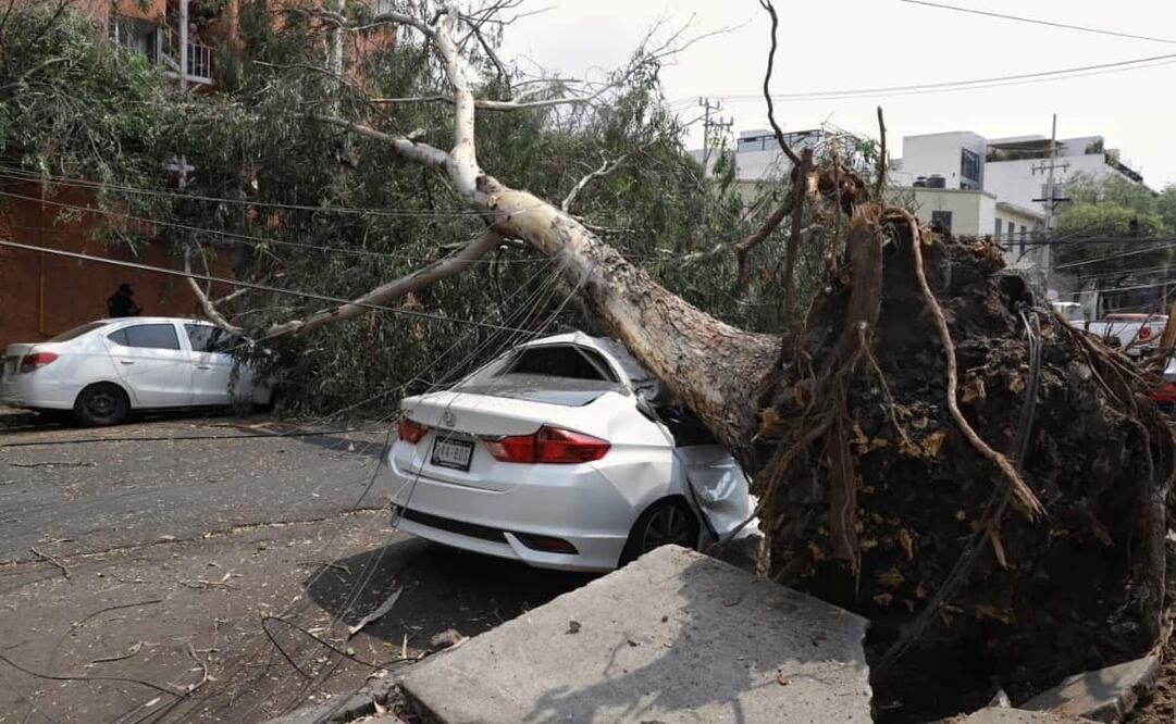 Los vientos con rachas que pueden alcanzar hasta los 50 kilómetros por hora (km/h). Foto: Fernanda Rojas EL UNIVERSAL