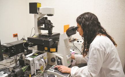 Preocupa caso a comunidad internacional