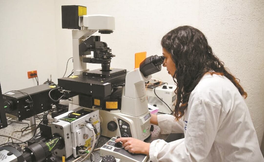 Acoso a científicos puede afectar la colaboración internacional: academias. Foto: Archivo. El Universal