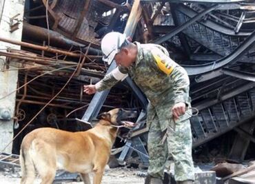 Four more bodies found at Pajaritos, death toll rises to 32