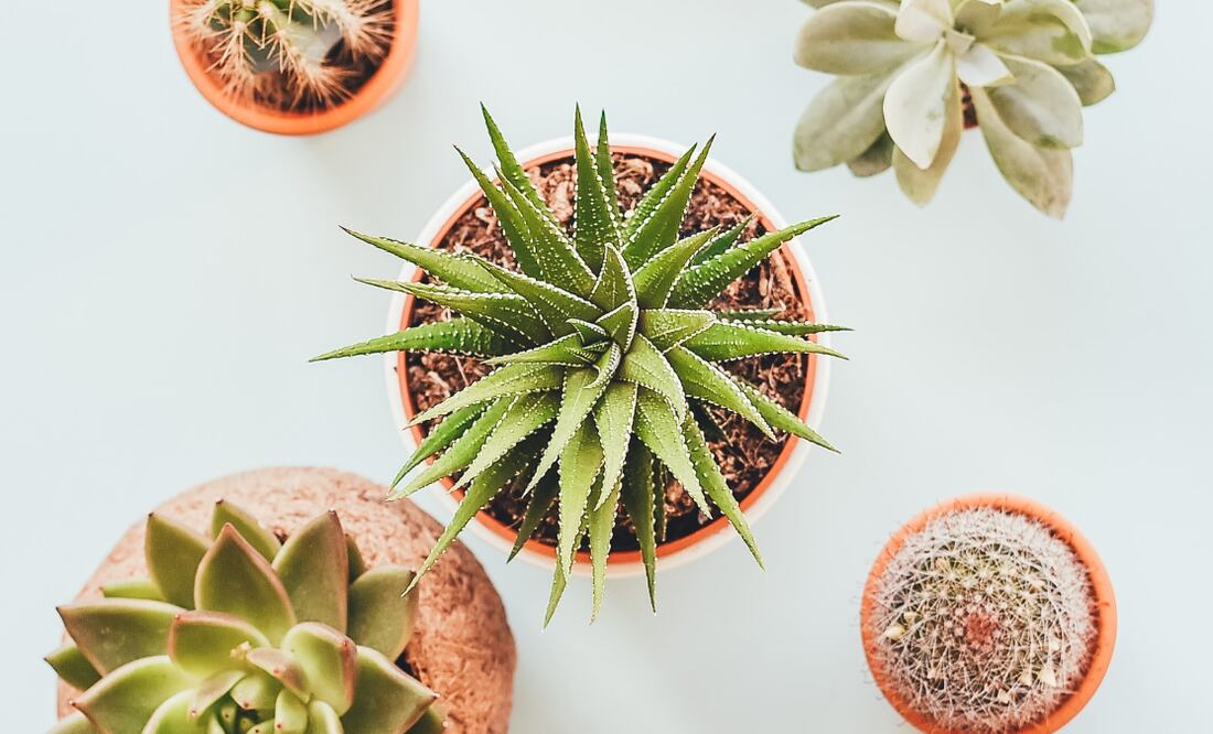 Foto: Unsplash / Annie Spratt