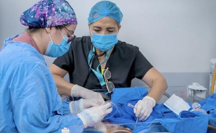 Médicos logran nacimiento de bebé tras muerte cerebral de su madre en Guanajuato; donan órganos de la mujer a cinco personas