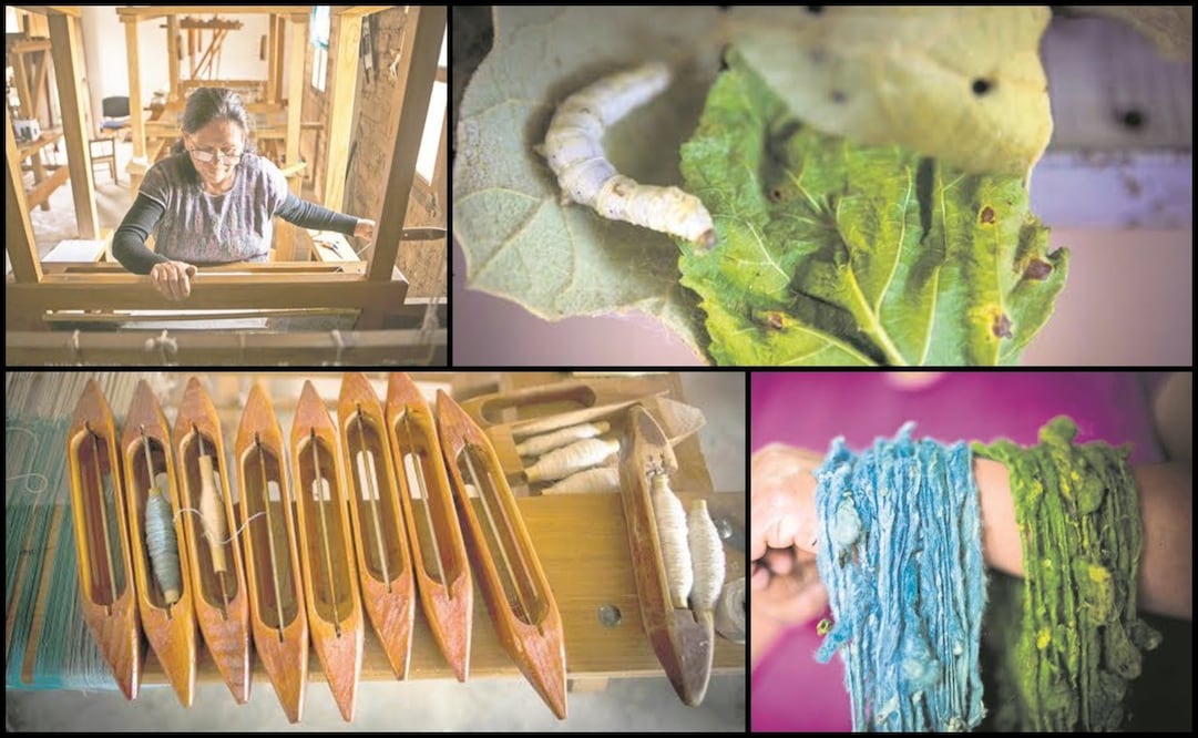 Fotos: Mario Arturo Martínez / EL UNIVERSAL