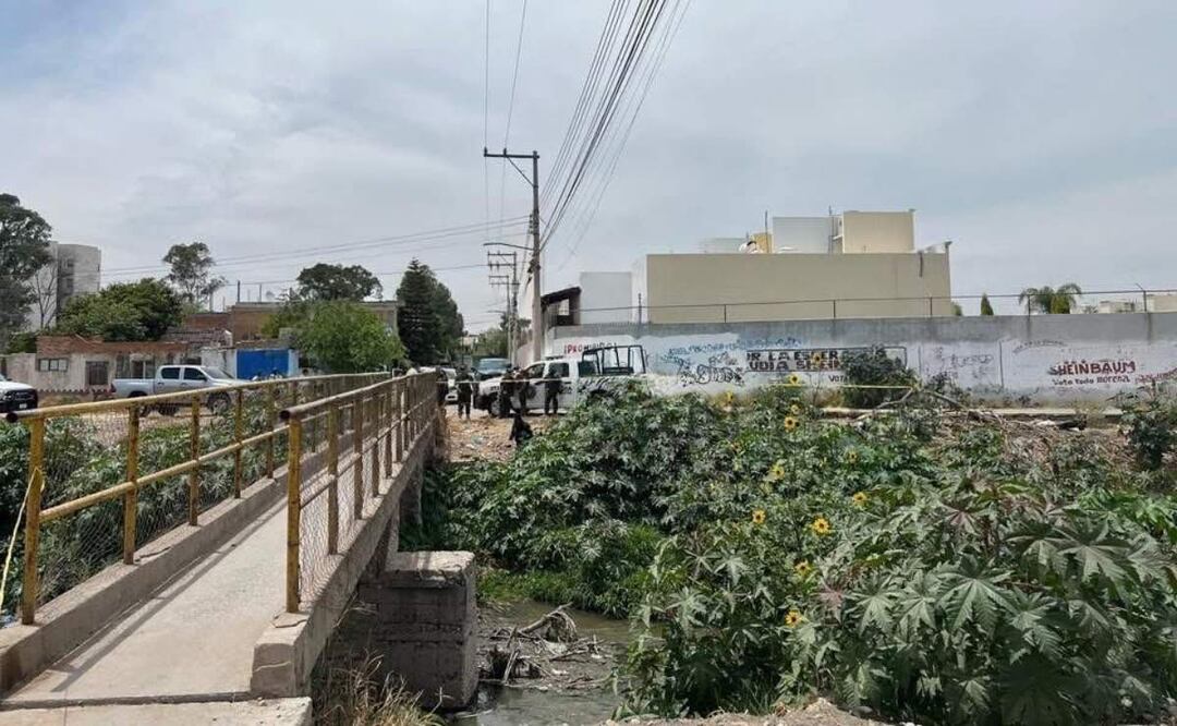 El cuerpo de la madre del niño asesinado, fue encontrado suspendido de un árbol en San Luis Potosí (16/04/2025). Foto: Especial