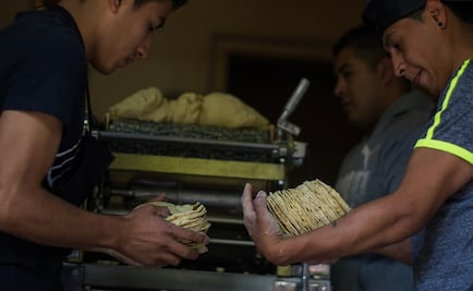 Profeco no permitirá aumento a tortilla para ganancias "impúdicas"