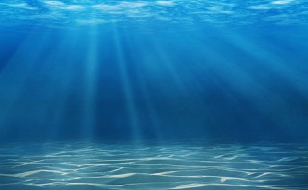 Foto: MC GILL UNIVERSITY