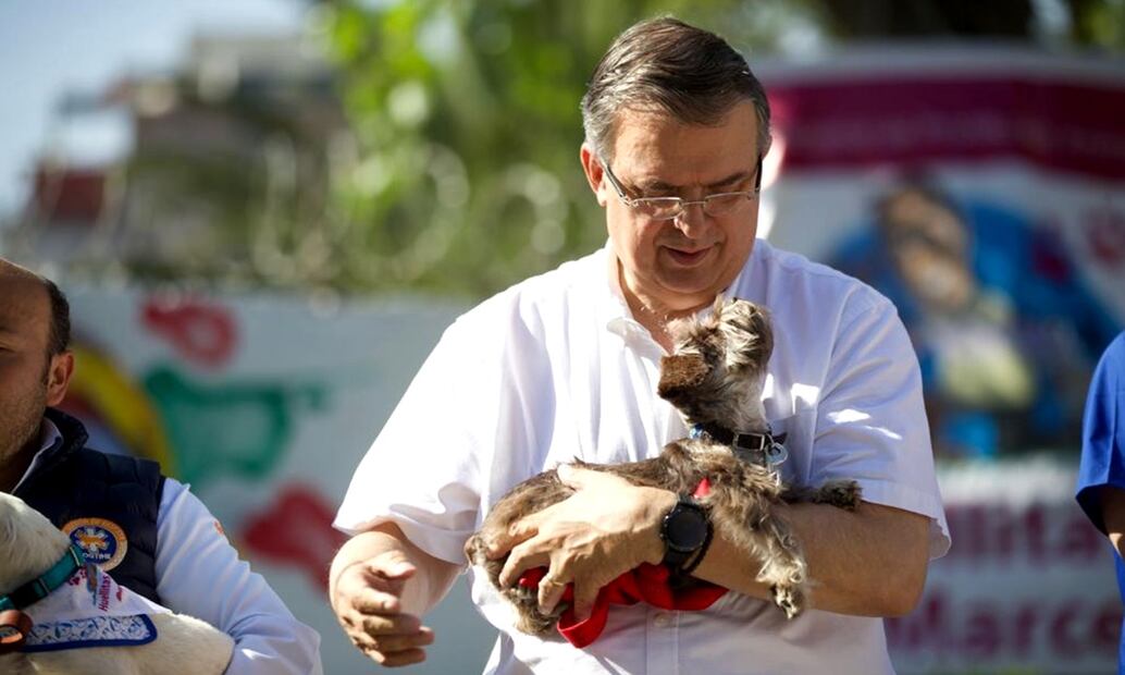 El aspirante Marcelo Ebrard propuso la creación de una red nacional de protección animal, que será un objetivo prioritario en la siguiente etapa de la Cuarta Transformación. Foto: Germán Espinosa