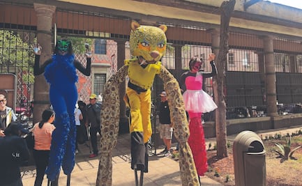 Realizan primer festival Gatotitlán en San Fernando