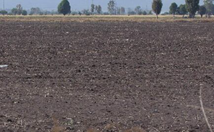 Mitigar cambio climático requiere medidas de índole integral: Molina