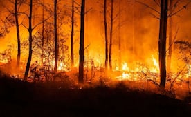 Policía detiene a acusado de provocar uno de los mayores incendios en EU; presenta antecedentes penales