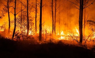 Policía detiene a acusado de provocar uno de los mayores incendios en EU; presenta antecedentes penales