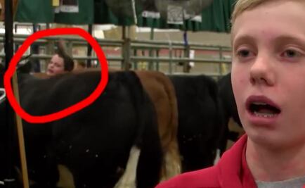 Niño es aplastado por vacas durante entrevista